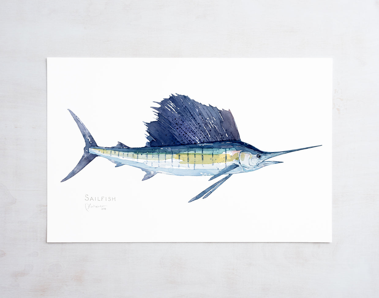 Sailfish Print