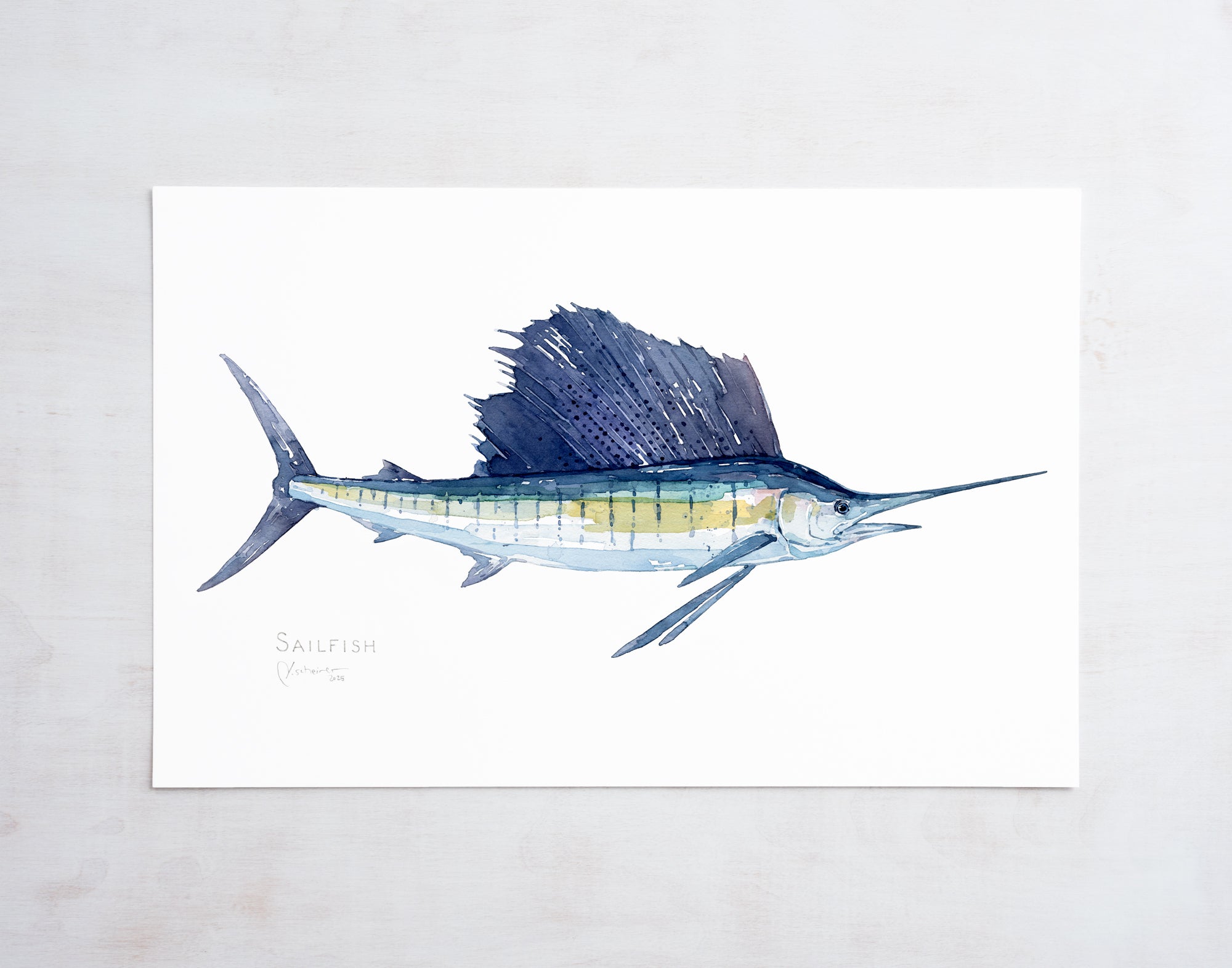 Sailfish Print