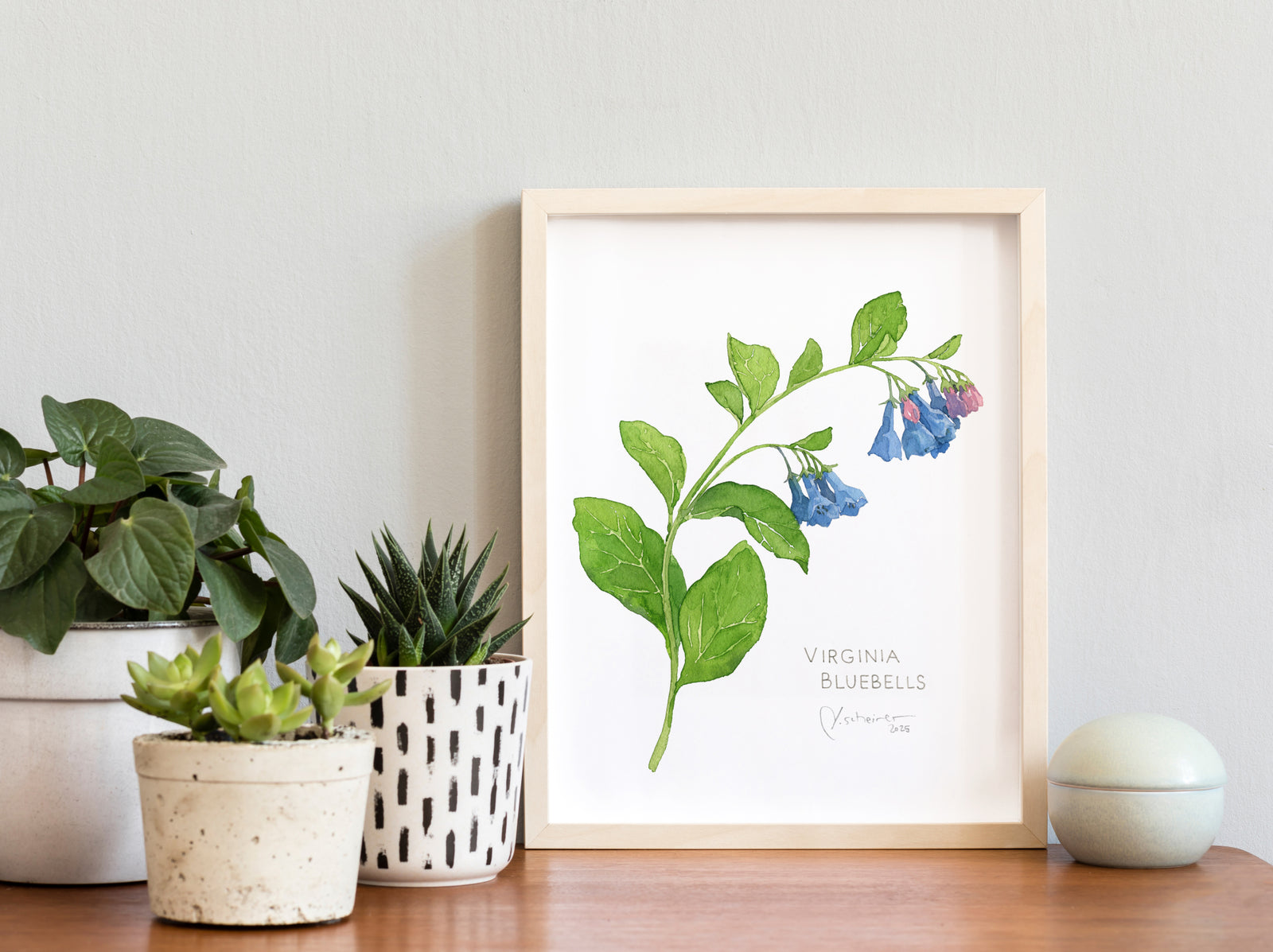 Virginia Bluebells Watercolor Botanical Print Woodland Wildflower
