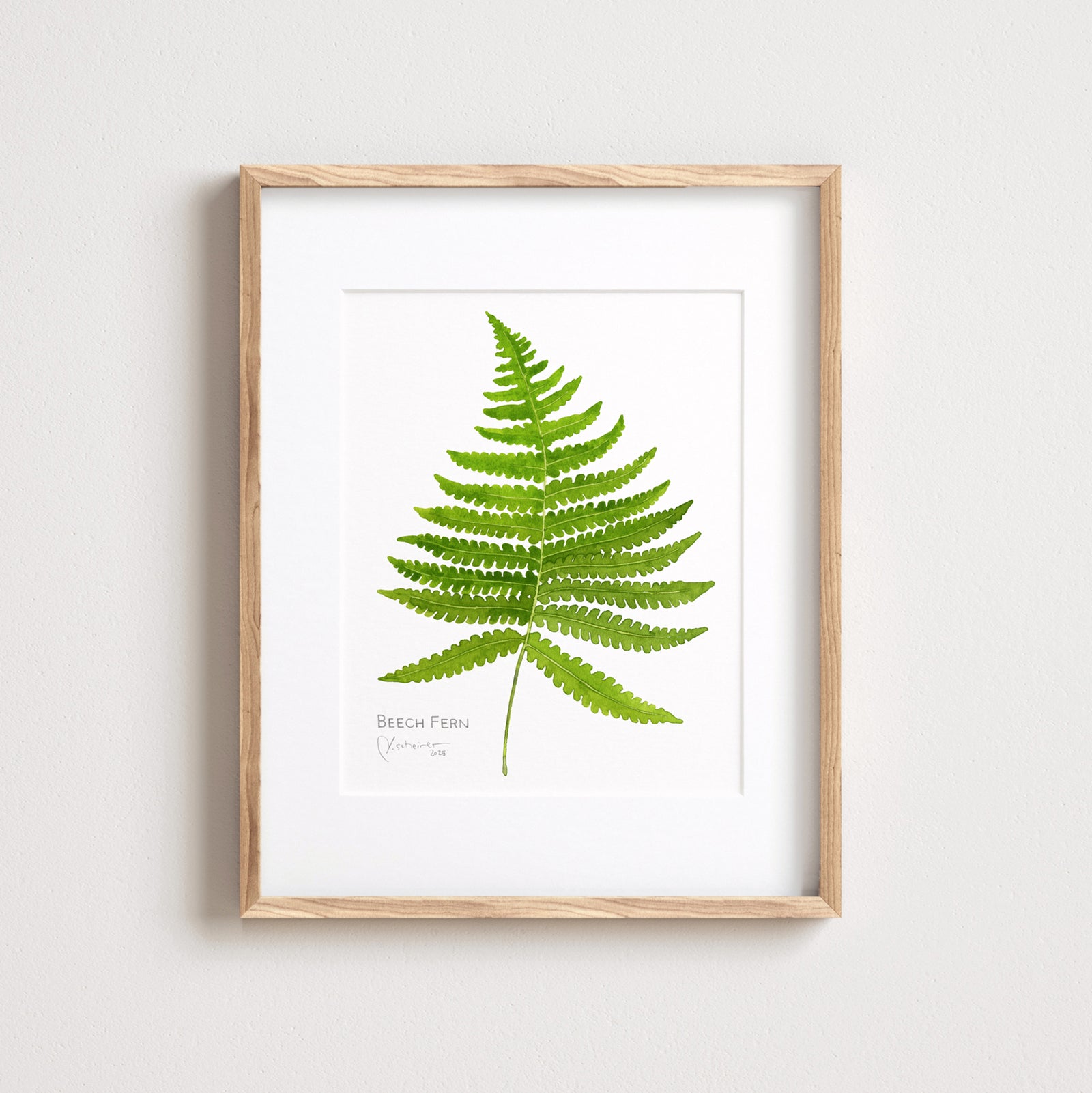 Beech Fern Botanical Watercolor Print