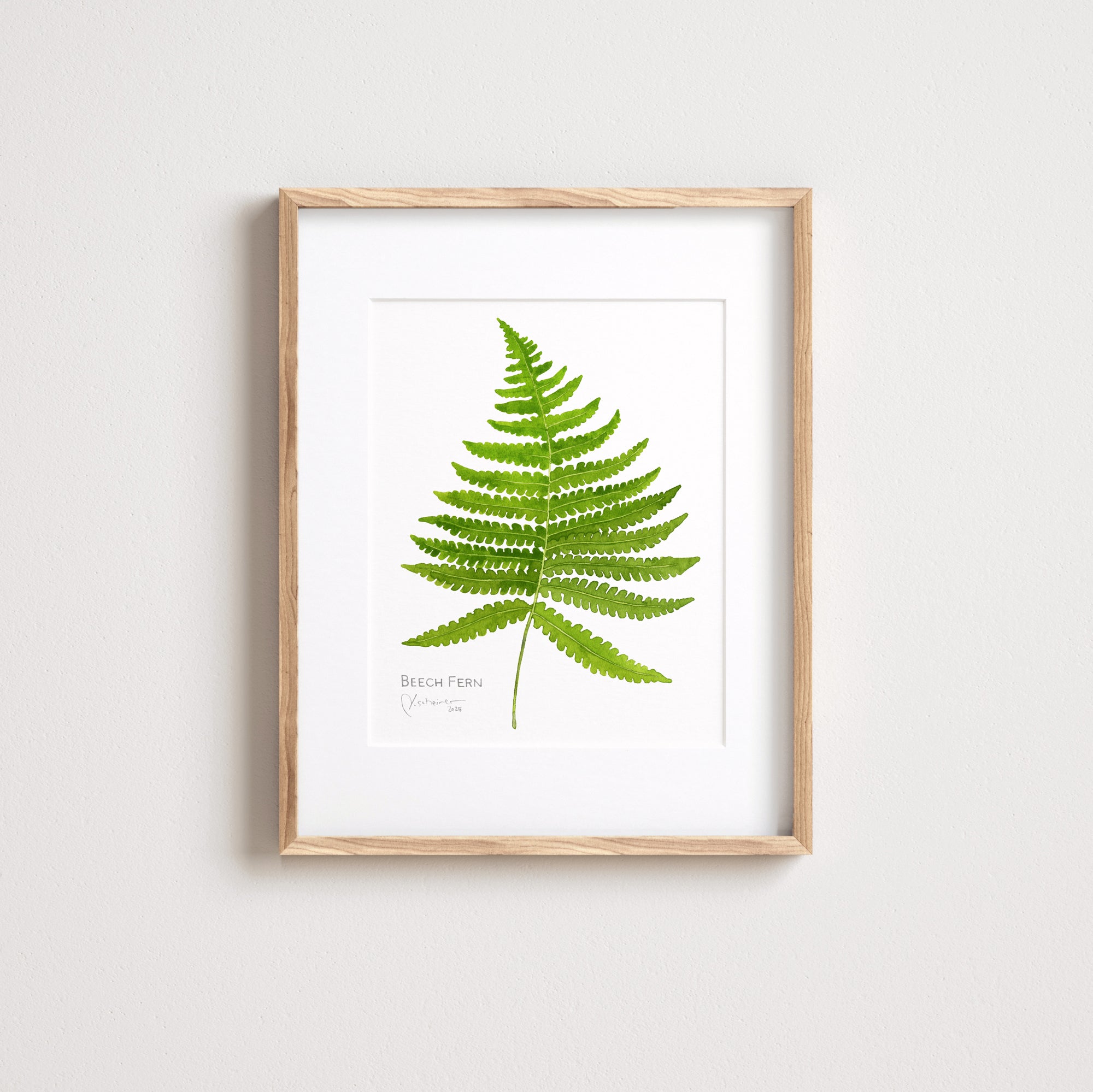Beech Fern Botanical Watercolor Print
