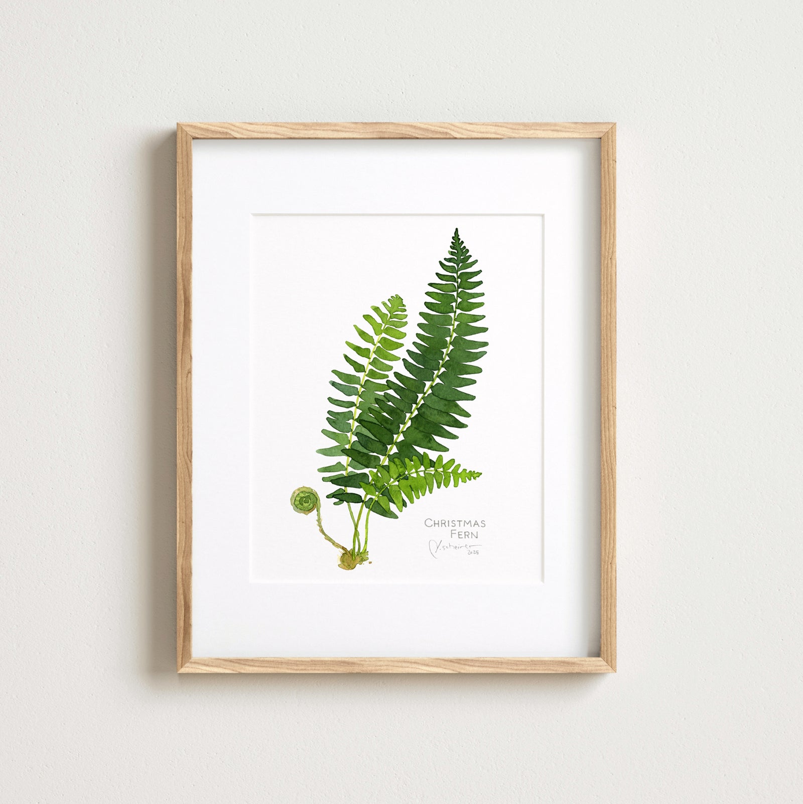 Christmas Fern Botanical Watercolor Print