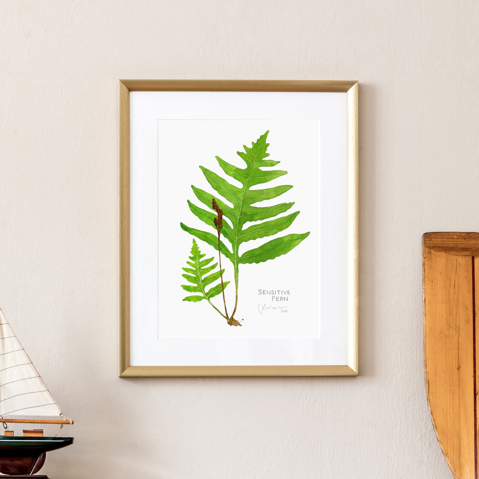 Sensitive Fern Botanical Watercolor Print