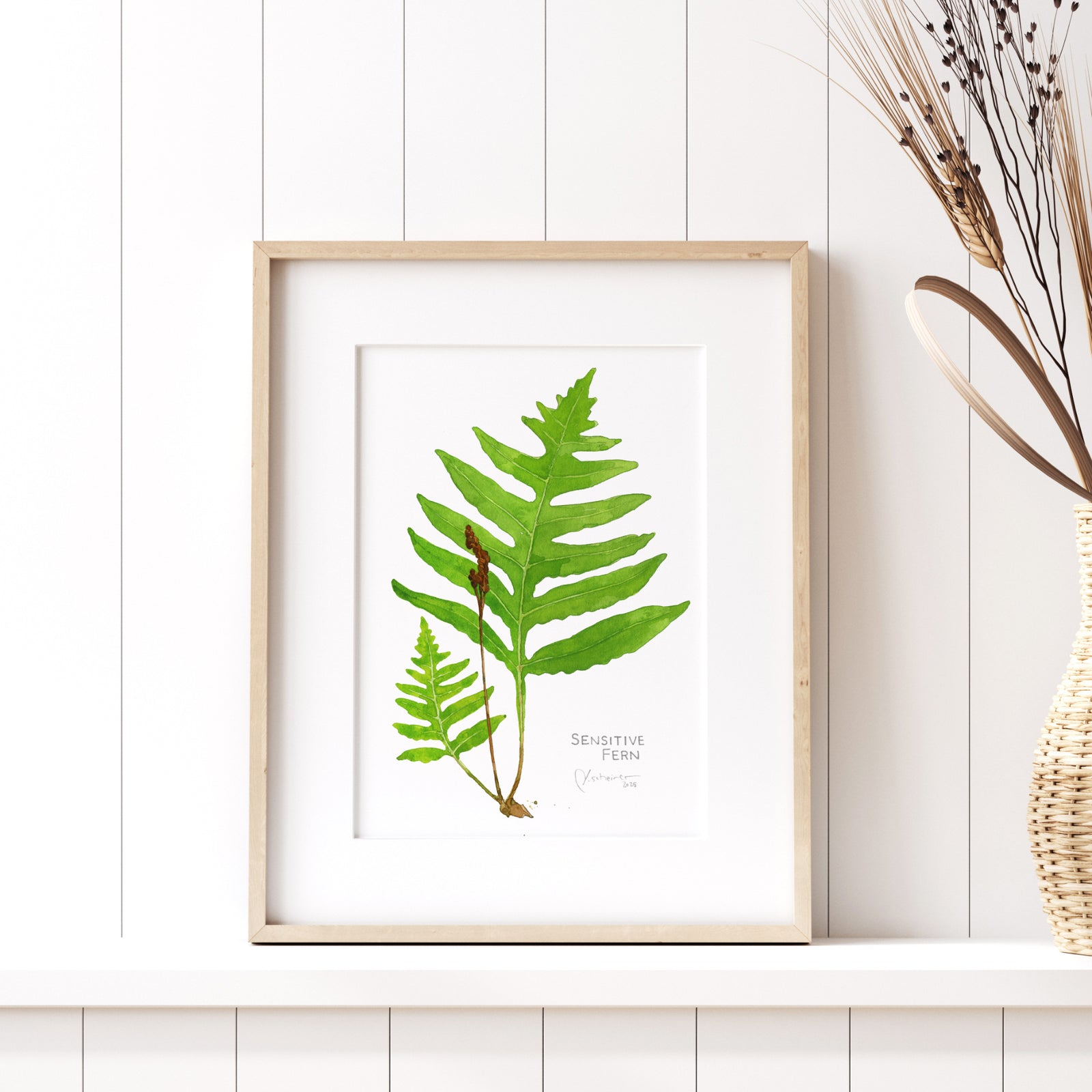 Sensitive Fern Botanical Watercolor Print