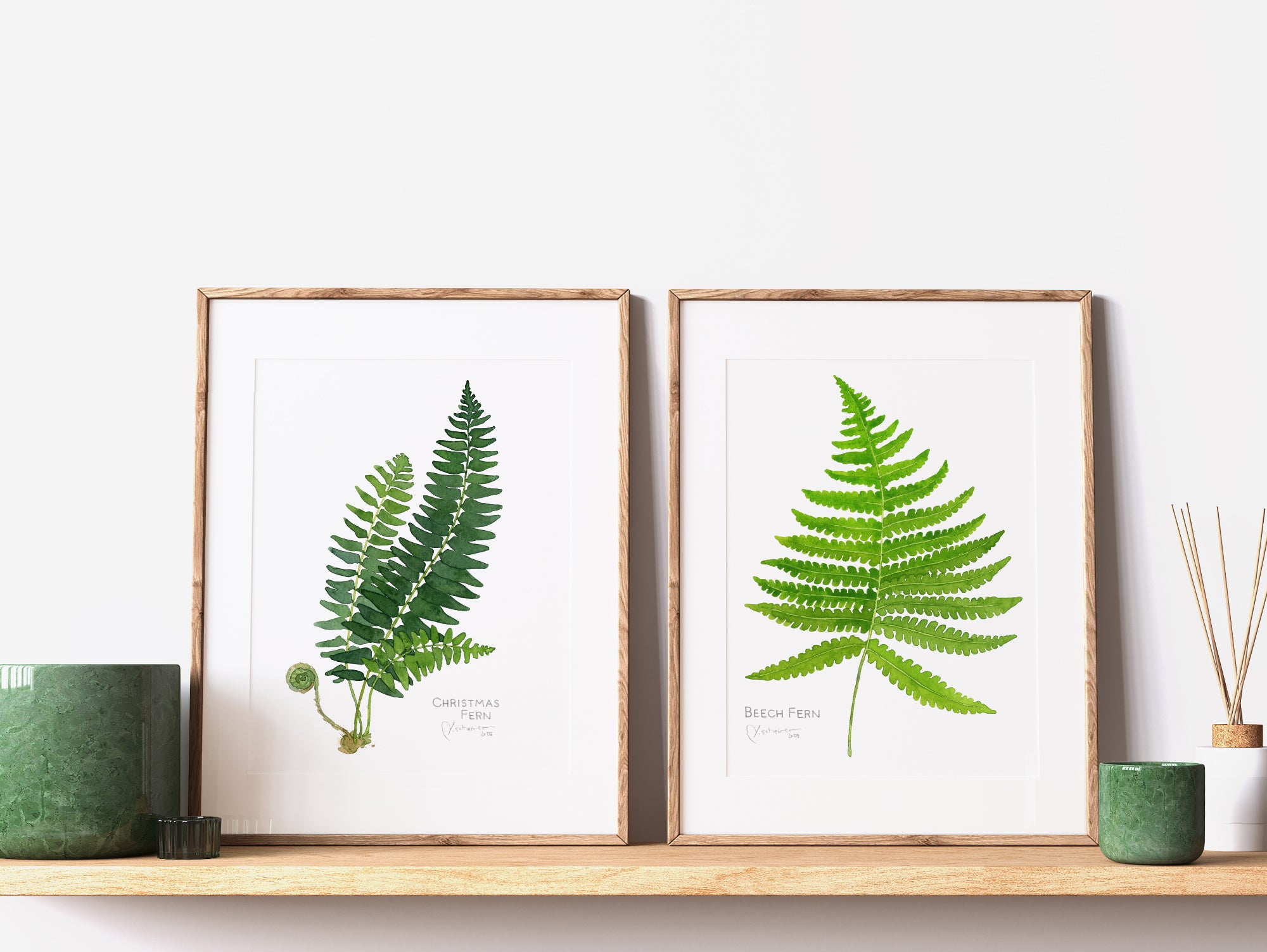 Beech Fern Botanical Watercolor Print