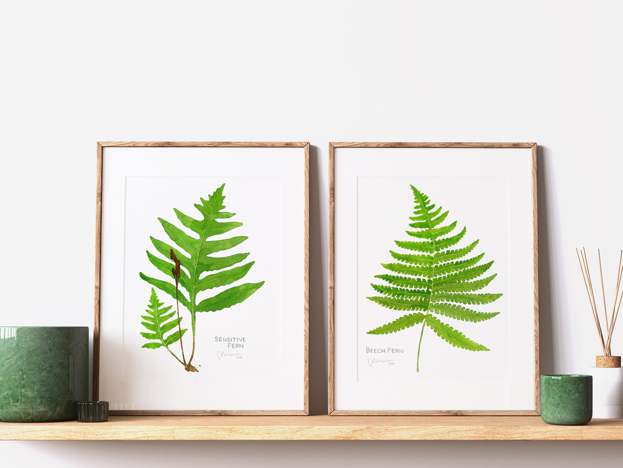 Sensitive Fern Botanical Watercolor Print
