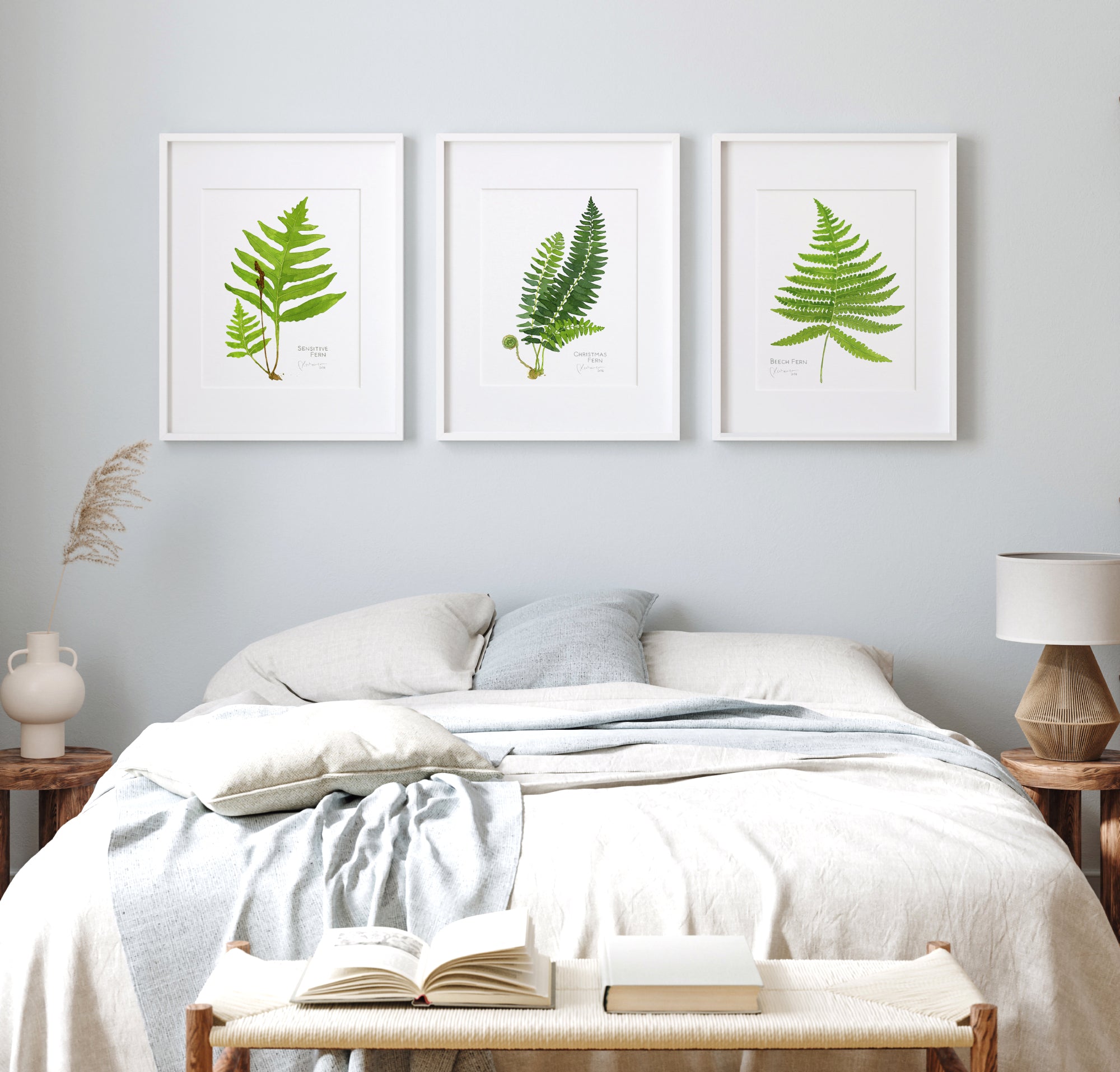 Sensitive Fern Botanical Watercolor Print