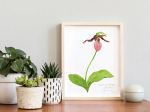 Lady's Slipper Orchid Watercolor Botanical Print Woodland Wildflower