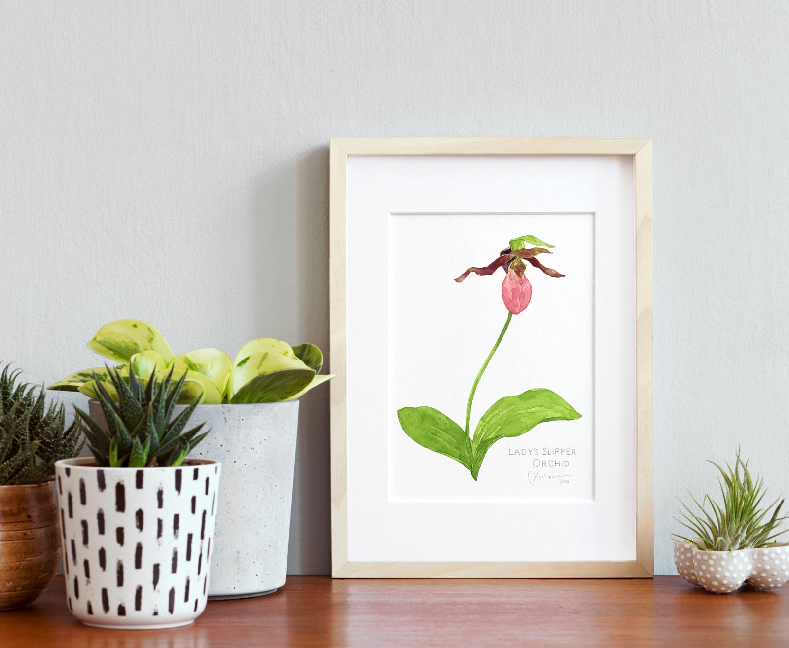 Lady's Slipper Orchid Watercolor Botanical Print Woodland Wildflower