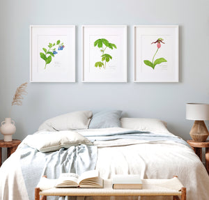 Virginia Bluebells Watercolor Botanical Print Woodland Wildflower
