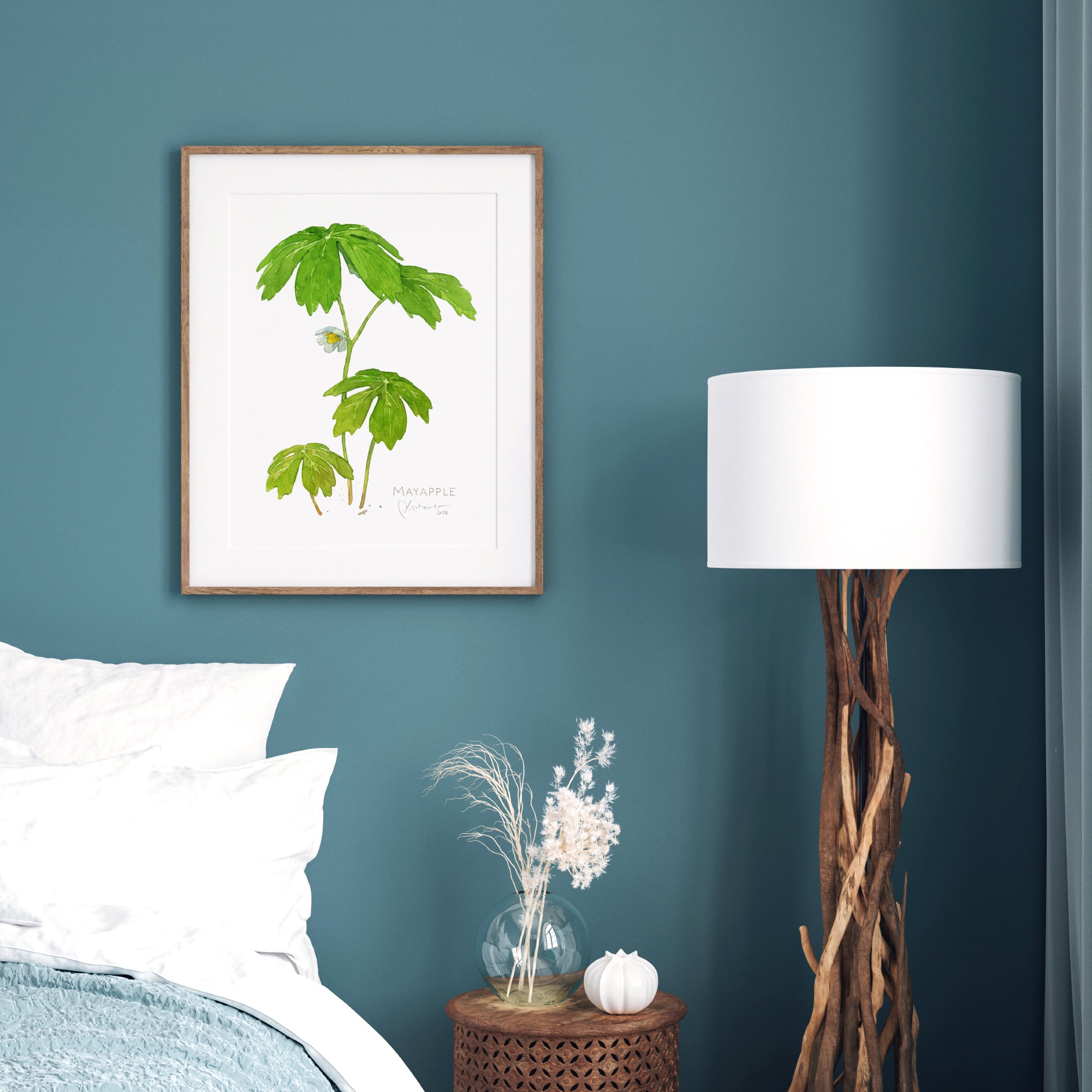 Mayapple Watercolor Botanical Print Woodland Wildflower