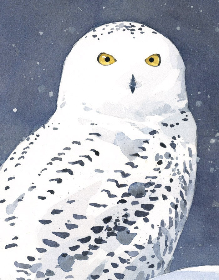 Snowy Owl in Snow Print