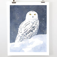 Snowy Owl in Snow Print