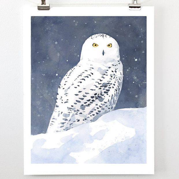 Snowy Owl in Snow Print
