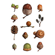 Acorns Art Print