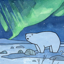 Polar Bear and Northern Lights Card Set