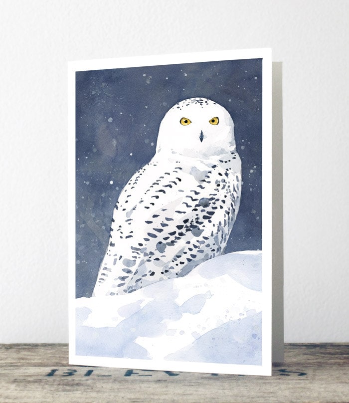 Snowy Owl Card Set