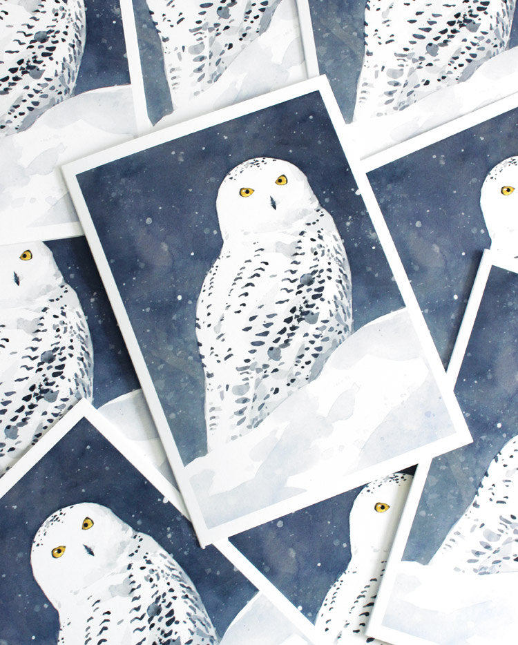 Snowy Owl Card Set