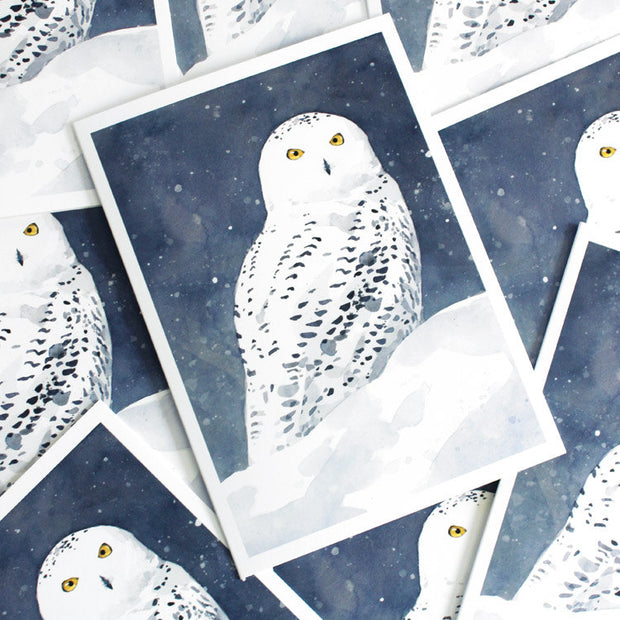 Snowy Owl Card Set