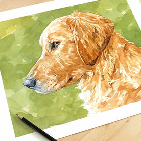 Golden Retriever Watercolor Portrait Print - Limited Edition Dog Art