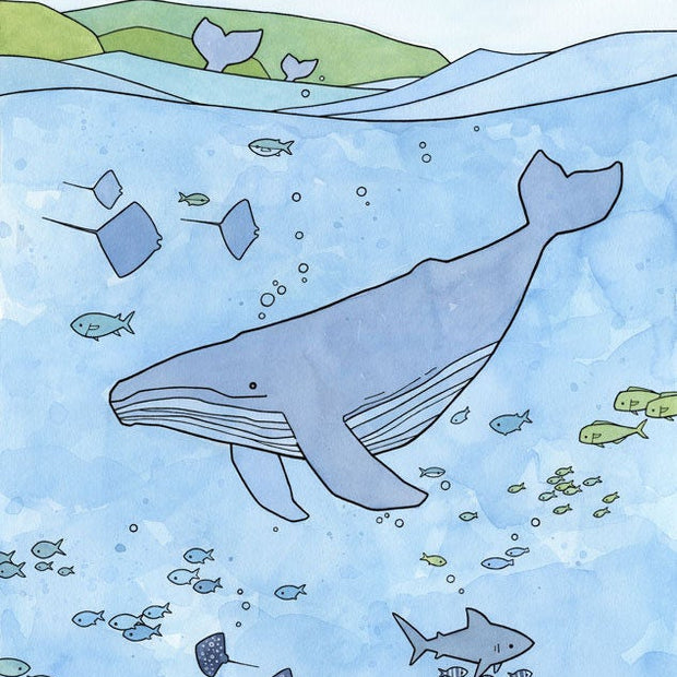 Humpback Whale Print Limited Edition Wall Art
