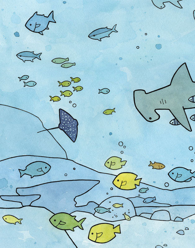 Hammerhead Shark Limited Edition Print