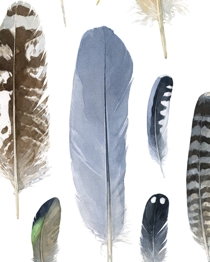 Feather Chart Print