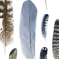 Feather Chart Print