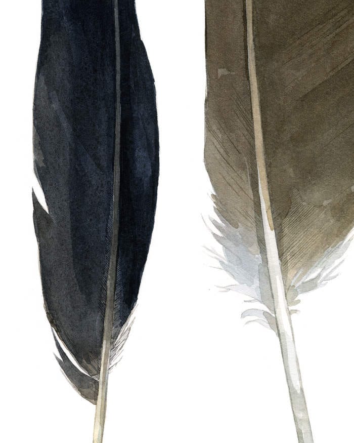 Feather Chart Print