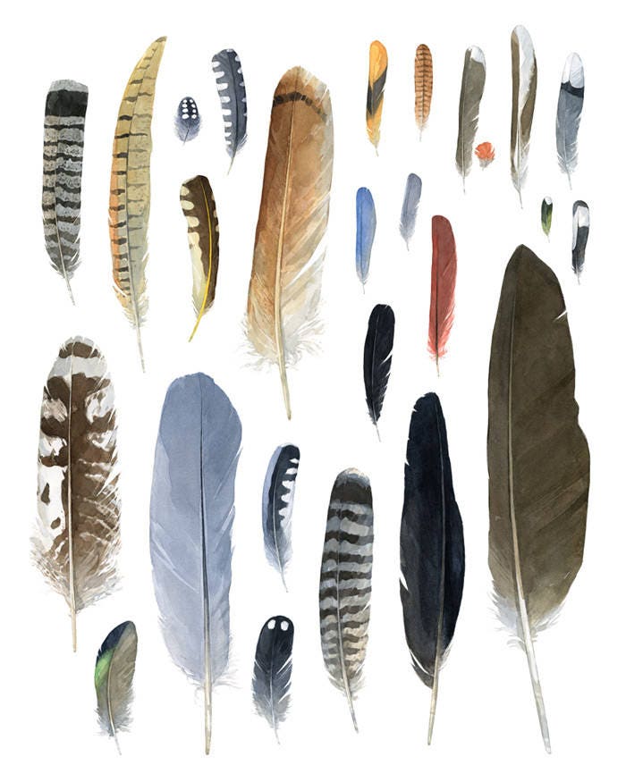 Feather Chart Print