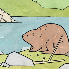 Beaver Illustration Art Print