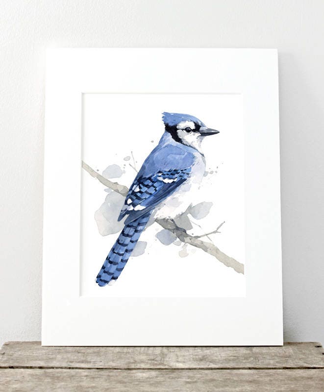 Blue Jay on Branch Print