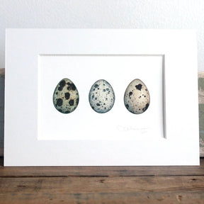 Quail Eggs Watercolor Print