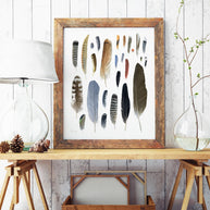Feather Chart Print