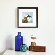 Osprey Watercolor Print