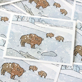 Bison in Snow Card Set