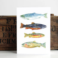 Trout Fish Card