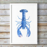 Blue Lobster Print