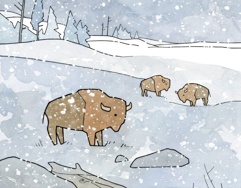 Bison in Snow Card Set