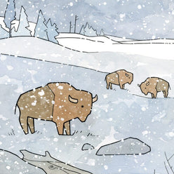 Bison in Snow Card Set