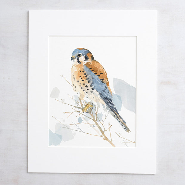 American Kestrel Print