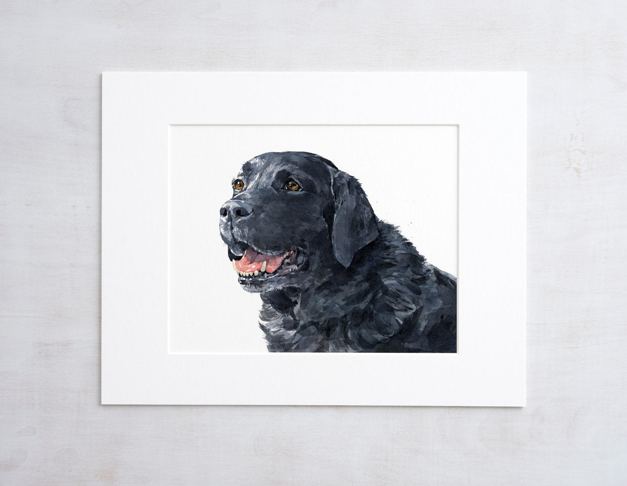 Black Labrador Retriever Print