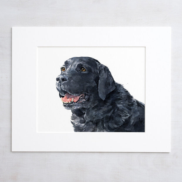 Black Labrador Retriever Print