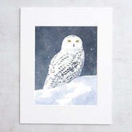 Snowy Owl in Snow Print