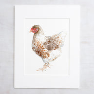 Chicken Watercolor Print