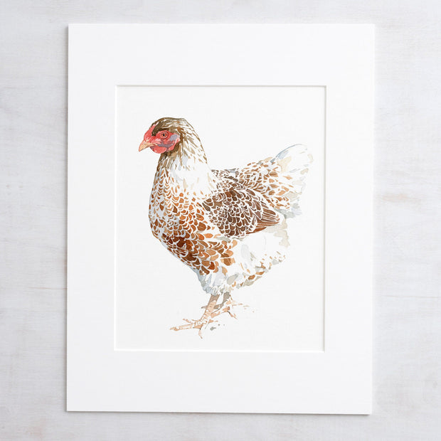 Chicken Watercolor Print