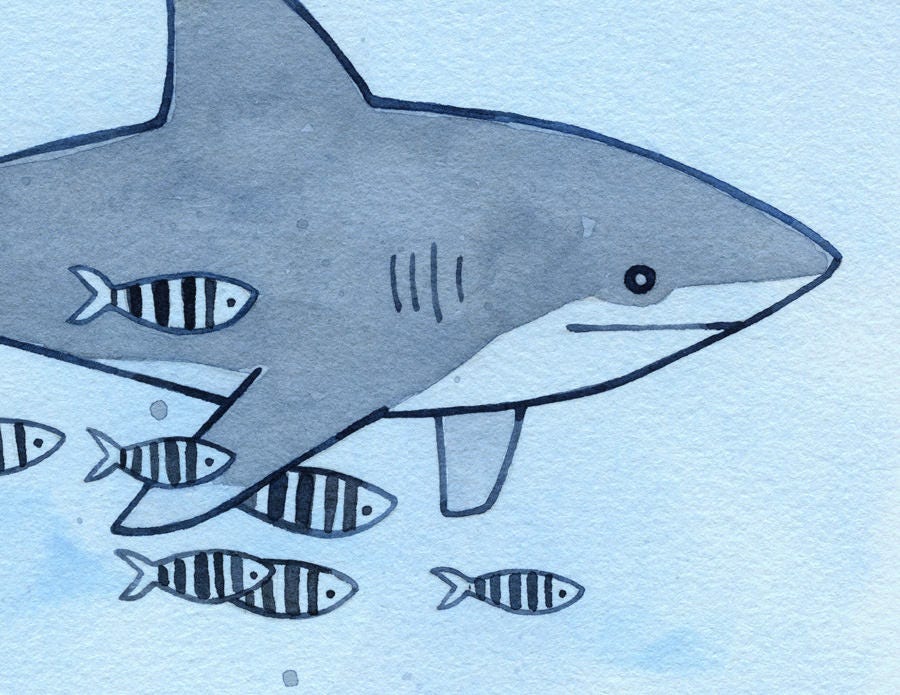 Whitetip Shark Print