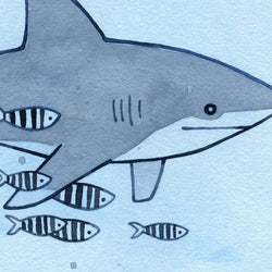 Whitetip Shark Print