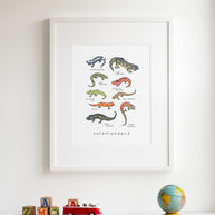 Salamanders Chart Print