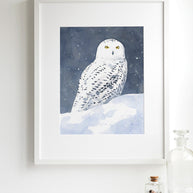 Snowy Owl in Snow Print